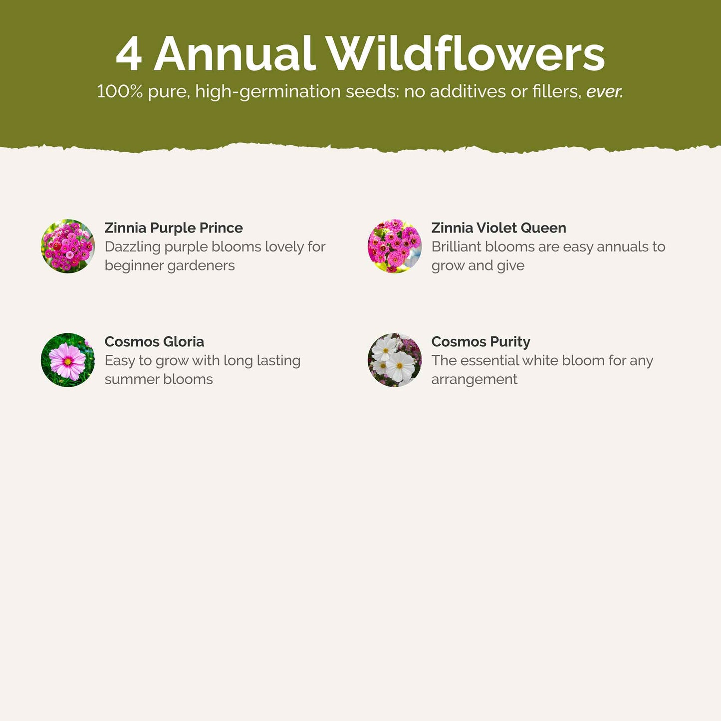 List of flower species and seeds included in the Wildflower Seed Mix.