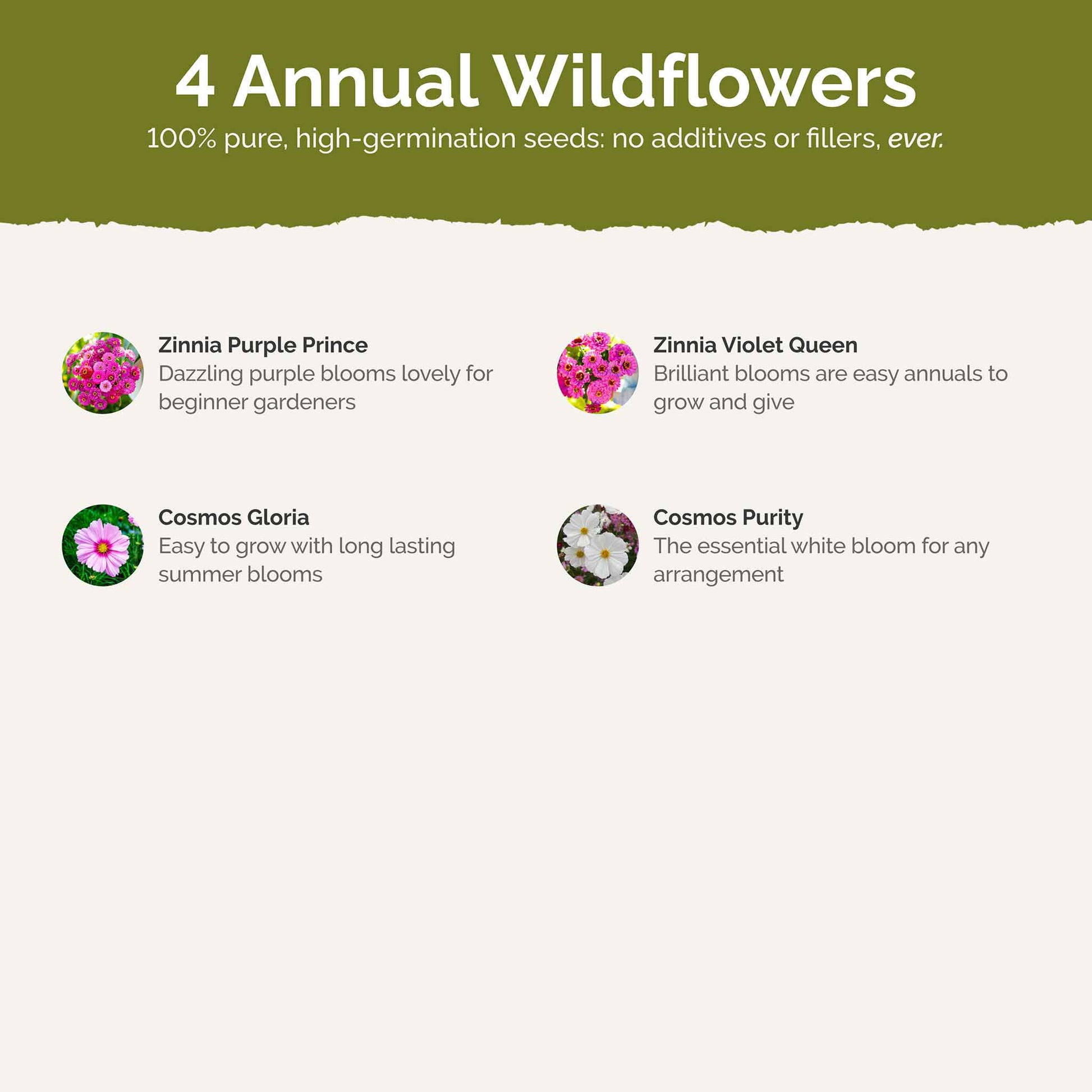 List of flower species and seeds included in the Wildflower Seed Mix.