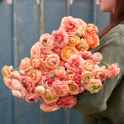 Soft peach and coral ranunculus amandine salmon bouquet on a soft outdoor backdrop