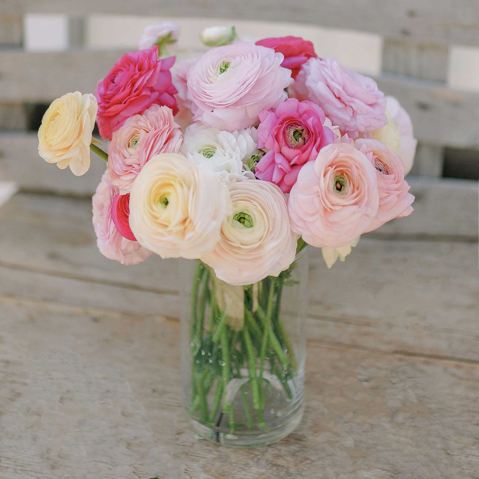 Small dark irregularly shaped ranunculus corms on a natural neutral surface