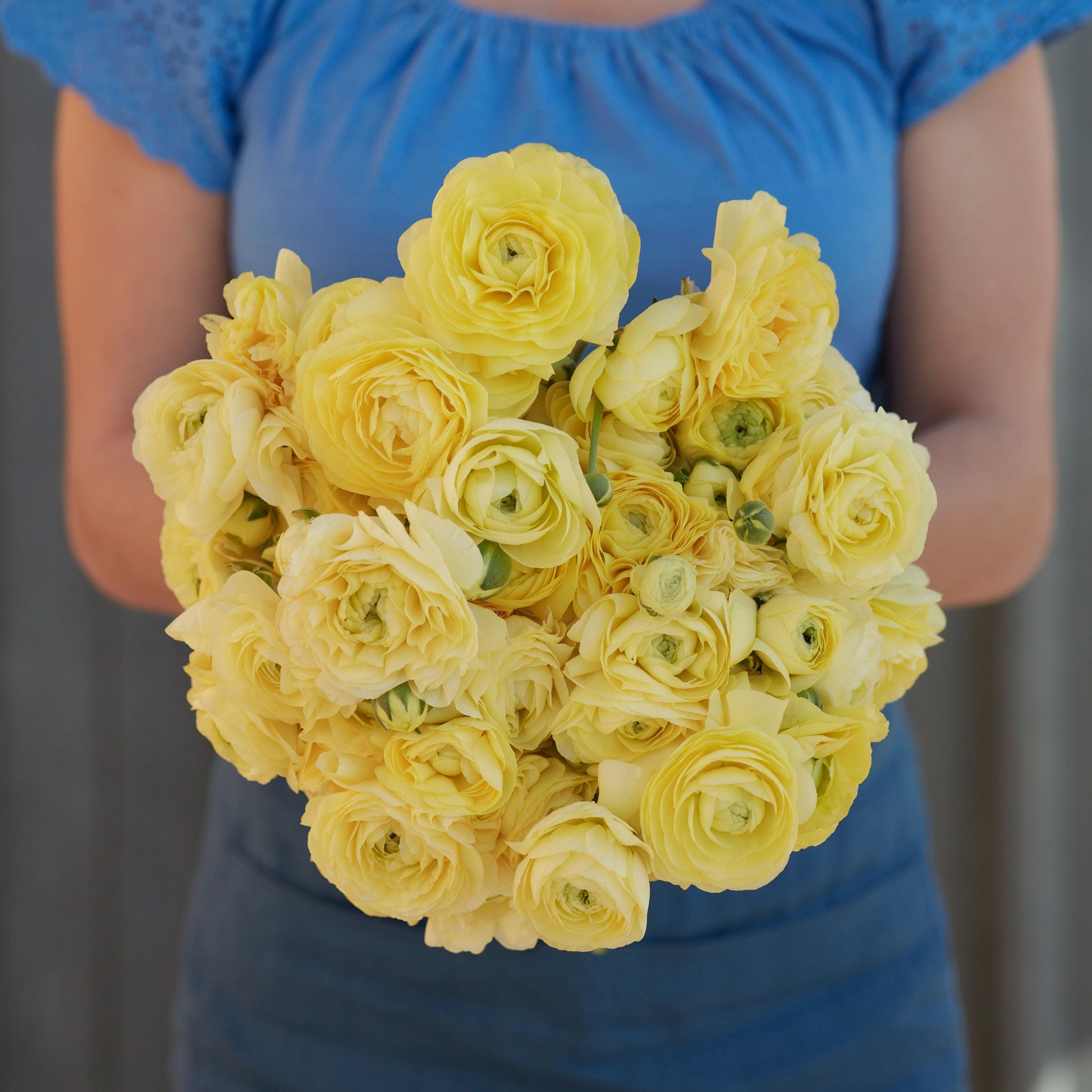 Yellow ranunculus cream bouquet held by a person on a natural outdoor backdrop