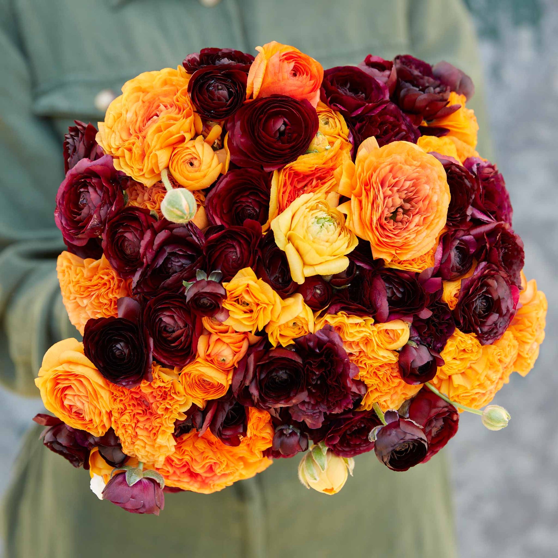 Bold red orange and dark ranunculus fire and wine mix bouquet on a warm backdrop