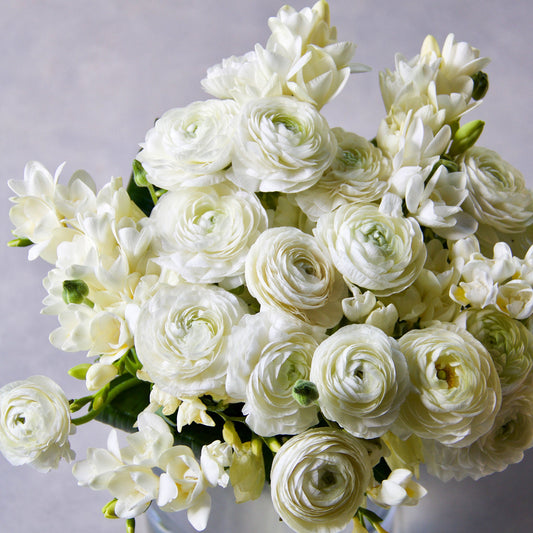 White and yellow ranunculus and freesia flowers with green stems in a garden setting.