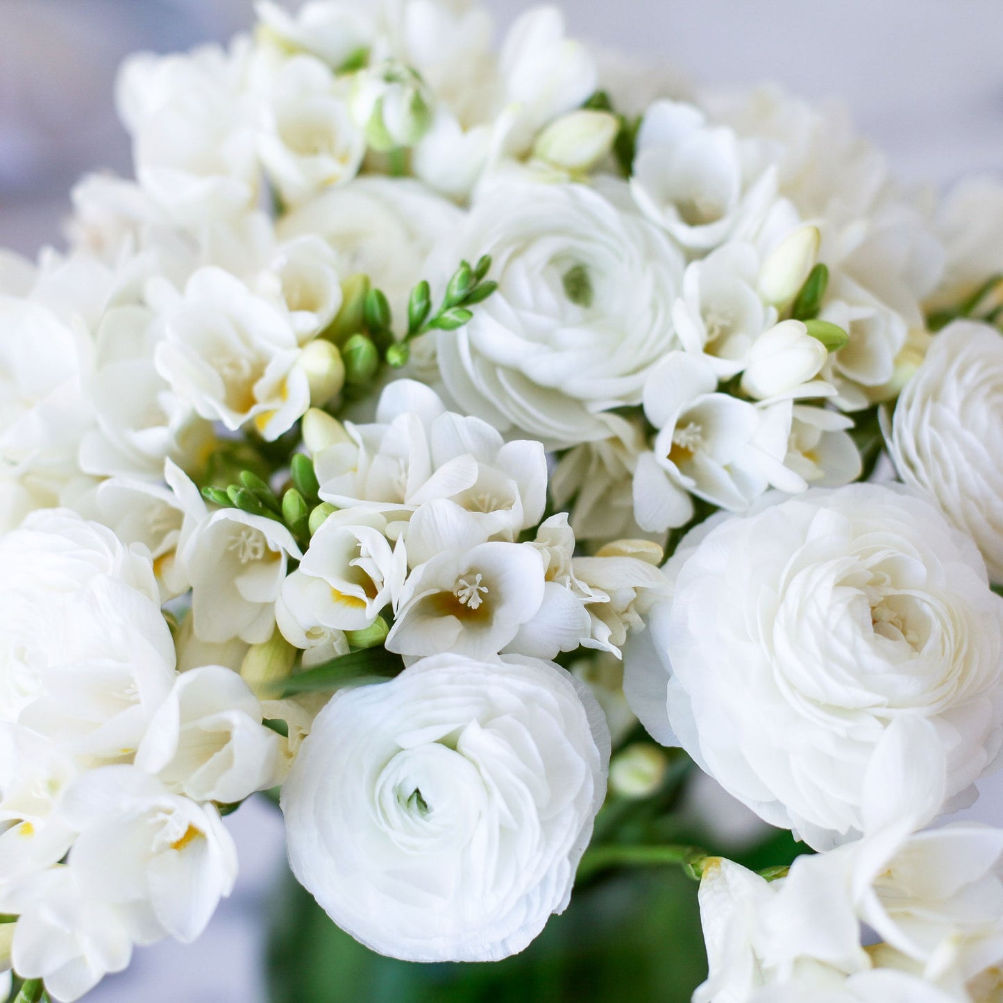 White ranunculus and purple freesia flowers in a bouquet, set against a dark background.