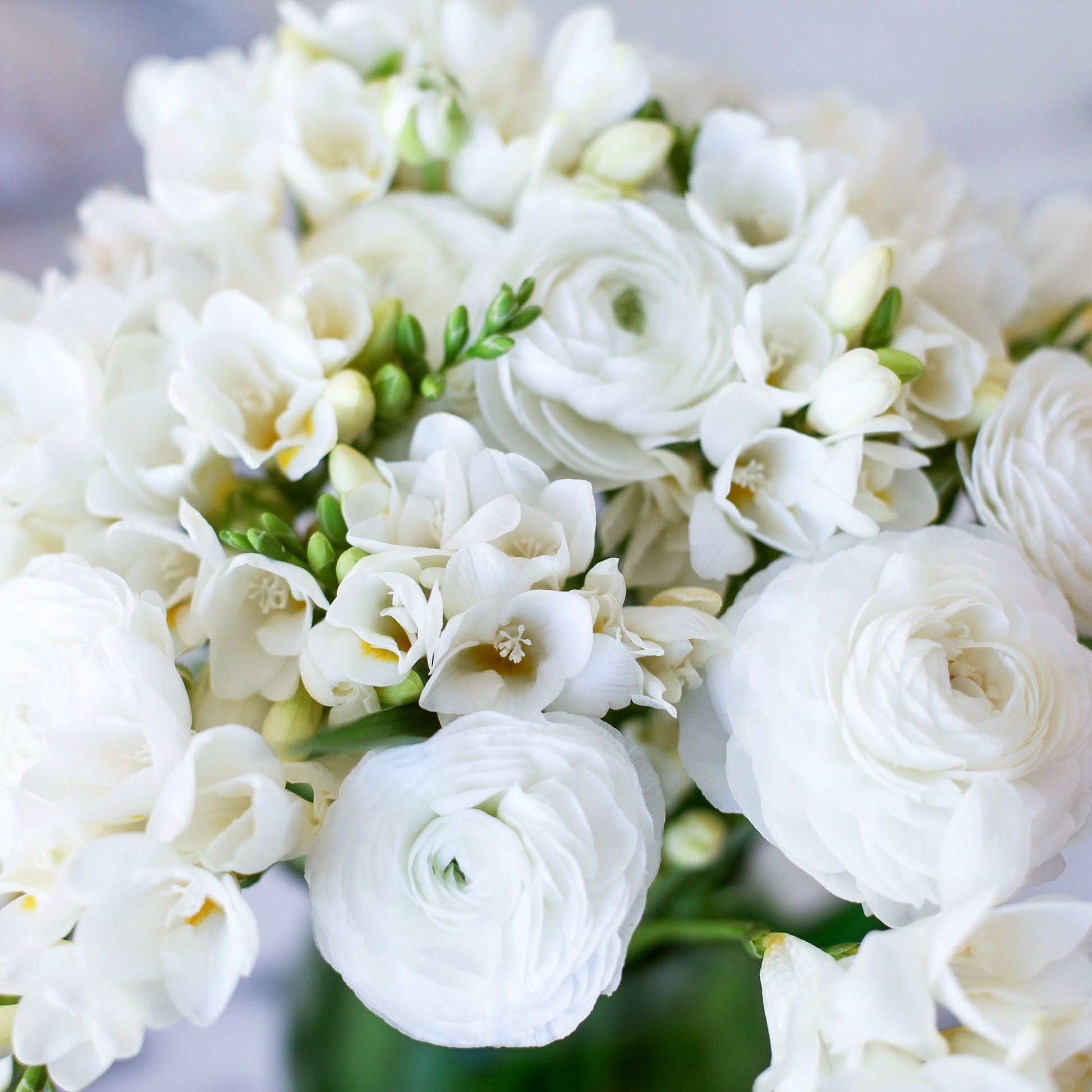 White ranunculus and purple freesia flowers in a bouquet, set against a dark background.