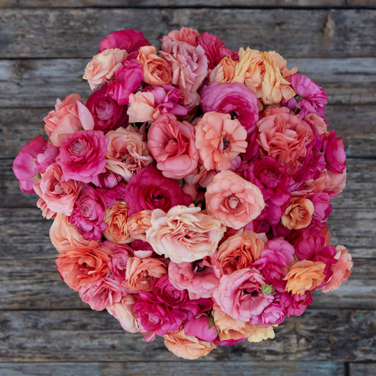 Vibrant pink and red ranunculus lipstick mix bouquet on a natural backdrop