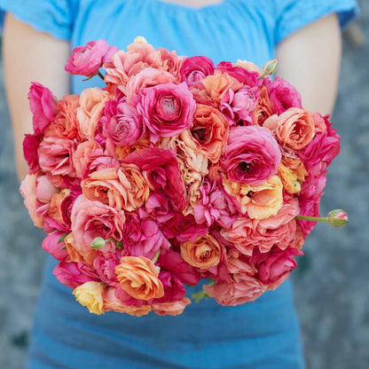 Pink and orange ranunculus lipstick mix bouquet held by a person outdoors