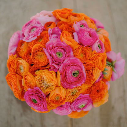 Bright orange and pink ranunculus pink clementine mix bouquet on a warm backdrop