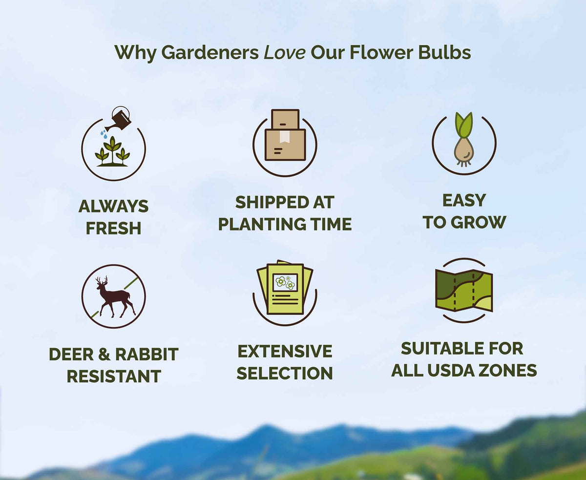 List of reasons why gardeners love flower bulbs with icons and text on a scenic background.