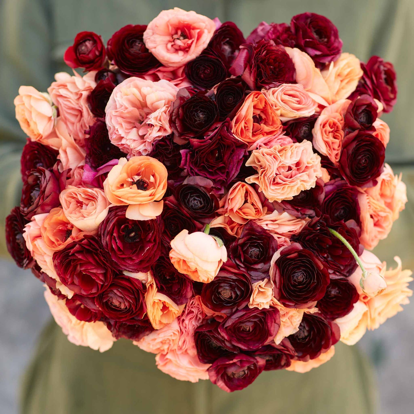Red and pink ranunculus princess bride mix blooms on a natural backdrop