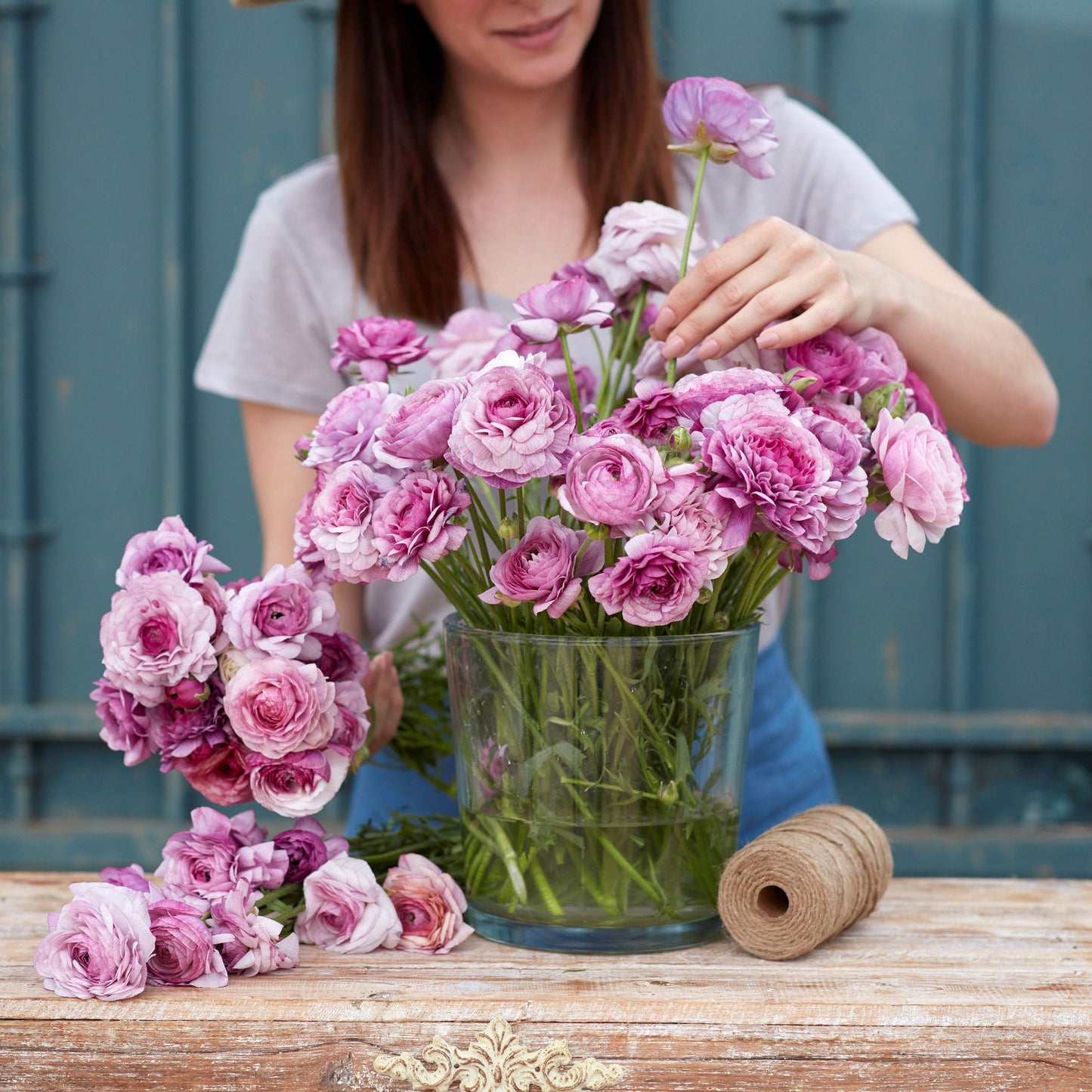 Purple ranunculus purple jean bouquet in close-up on a neutral indoor backdrop