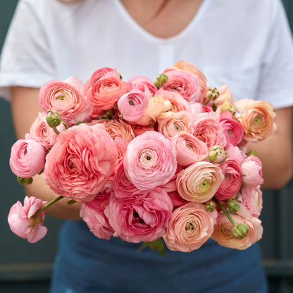 Pink and white ranunculus romantic mix bouquet held by a person on a soft backdrop