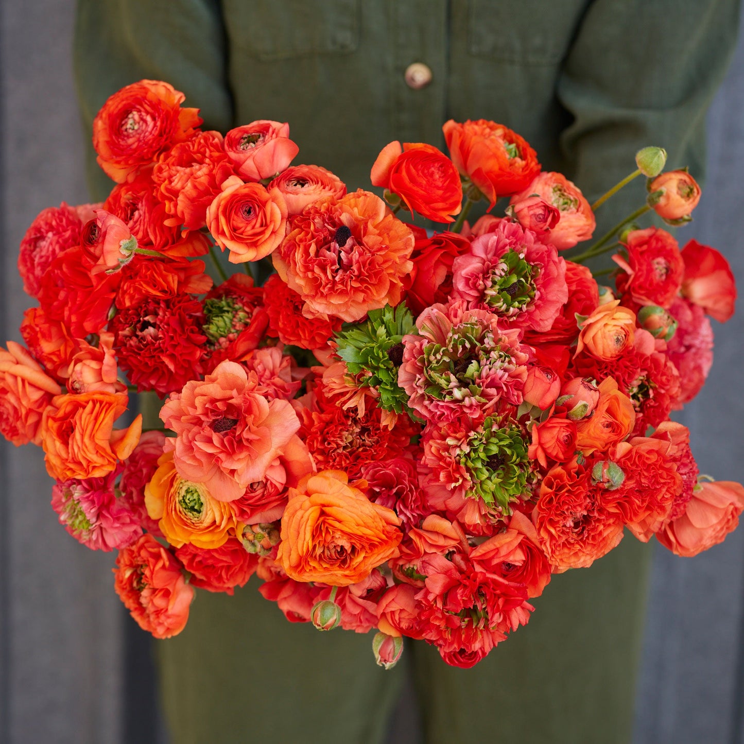 Bright red ranunculus super green orange bouquet on a natural outdoor backdrop