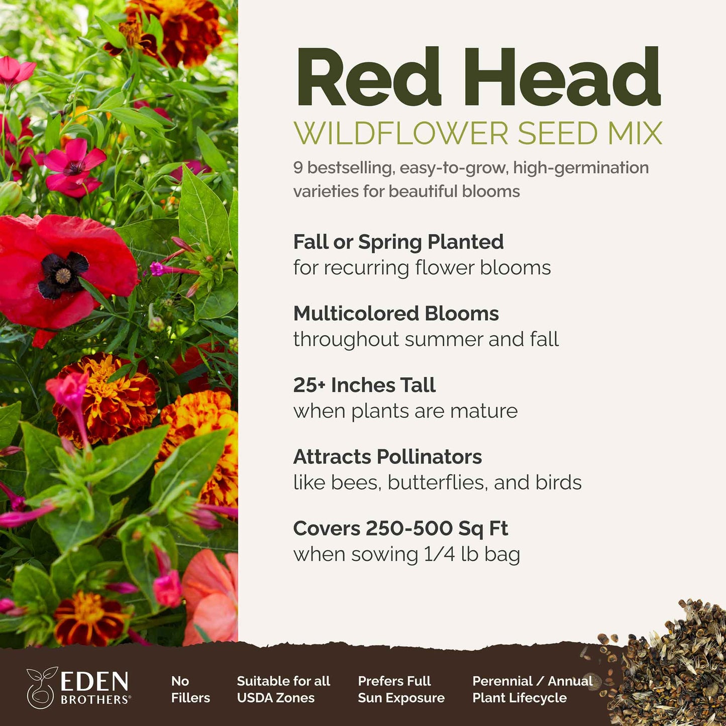 A visual overview of the wildflower seed mix, showcasing expected floral blooms.