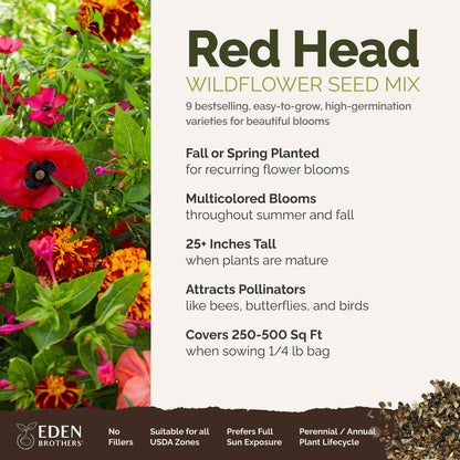 A visual overview of the wildflower seed mix, showcasing expected floral blooms.