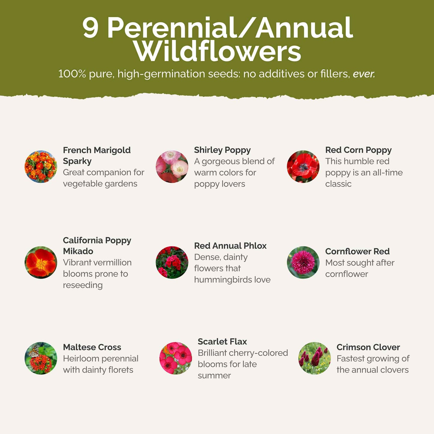 List of flower species and seeds included in the Wildflower Seed Mix.