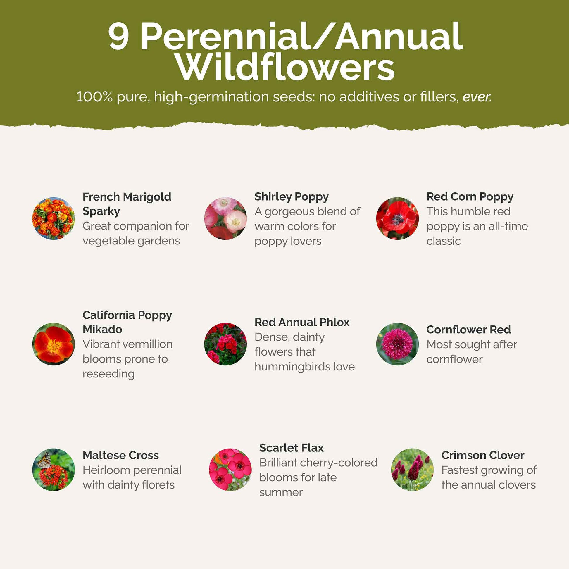 List of flower species and seeds included in the Wildflower Seed Mix.