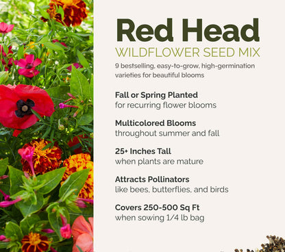 A visual overview of the wildflower seed mix, showcasing expected floral blooms.
