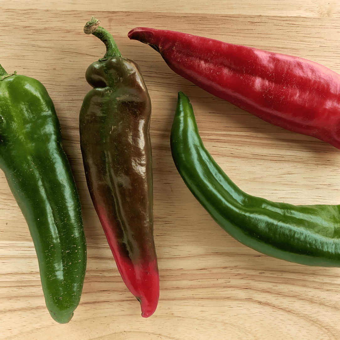 NuMex Joe E Parker Hatch Pepper Seedlings