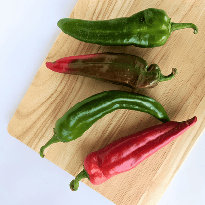 NuMex Joe E Parker Hatch Pepper Seedlings