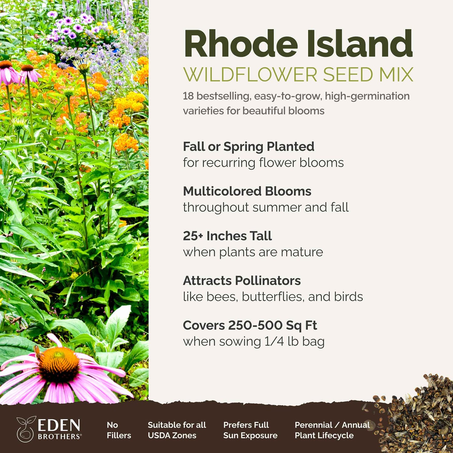A visual overview of the wildflower seed mix, showcasing expected floral blooms.