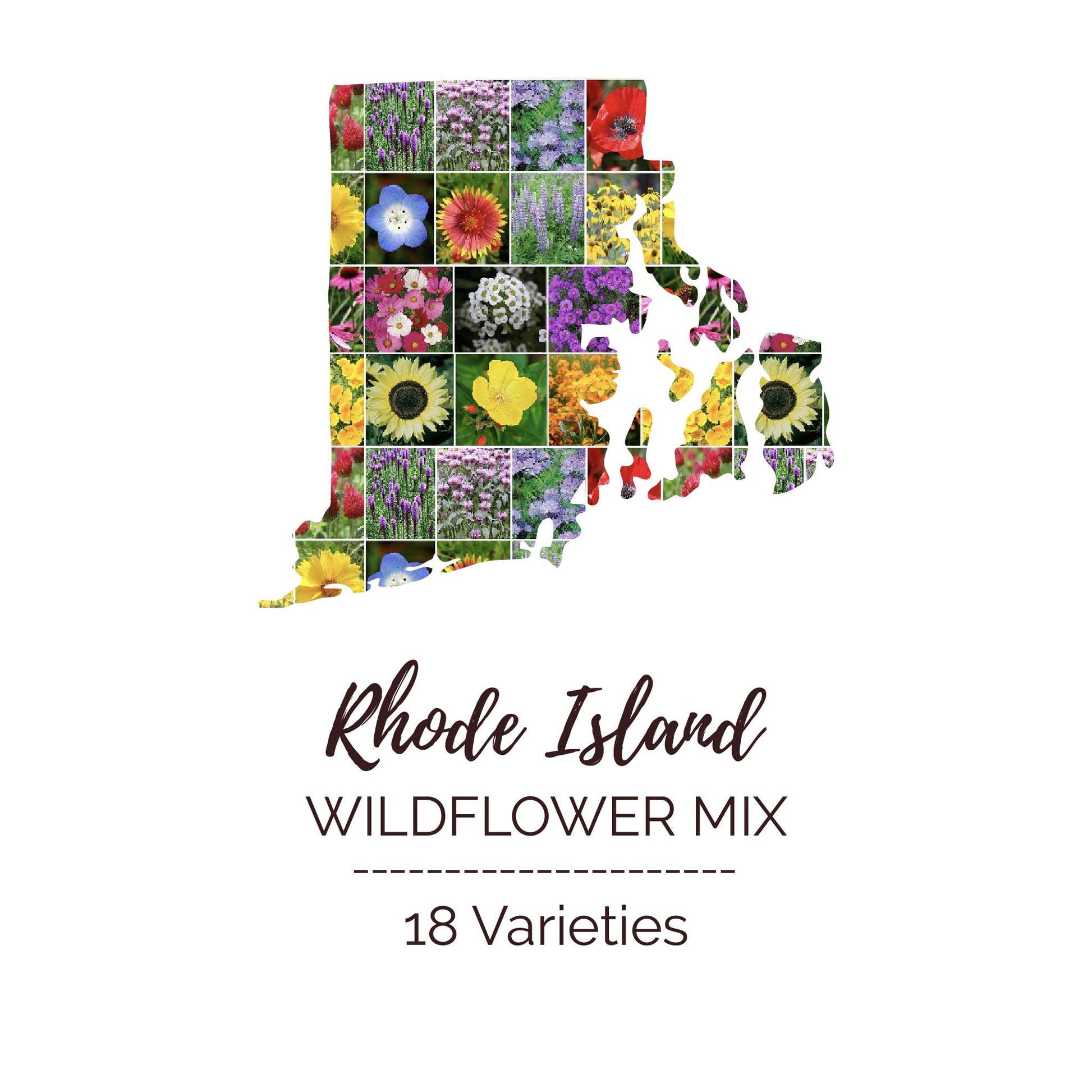 Graphic of the outline of the state for Rhode Island Wildflower Seed Mix that contains images of the flowers in the mix