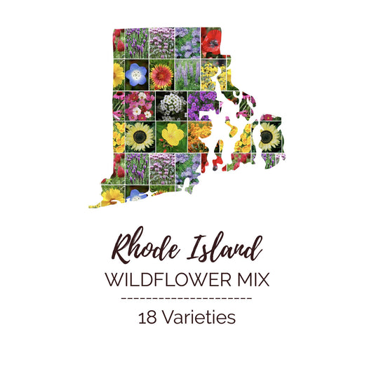 Graphic of the outline of the state for Rhode Island Wildflower Seed Mix that contains images of the flowers in the mix