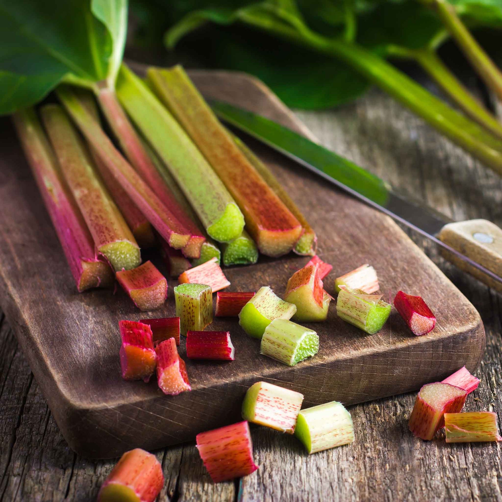 A bunch of Victoria rhubarb stalks with green leaves on a dark surface, cut open revealing the red interior.