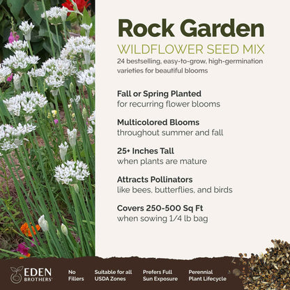 A visual overview of the wildflower seed mix, showcasing expected floral blooms.