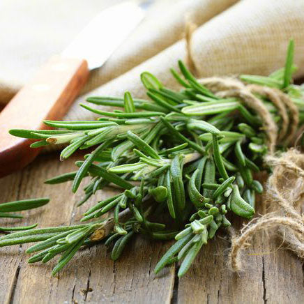 A bundle of fresh rosemary leaves tied together, placed on a wooden surface.