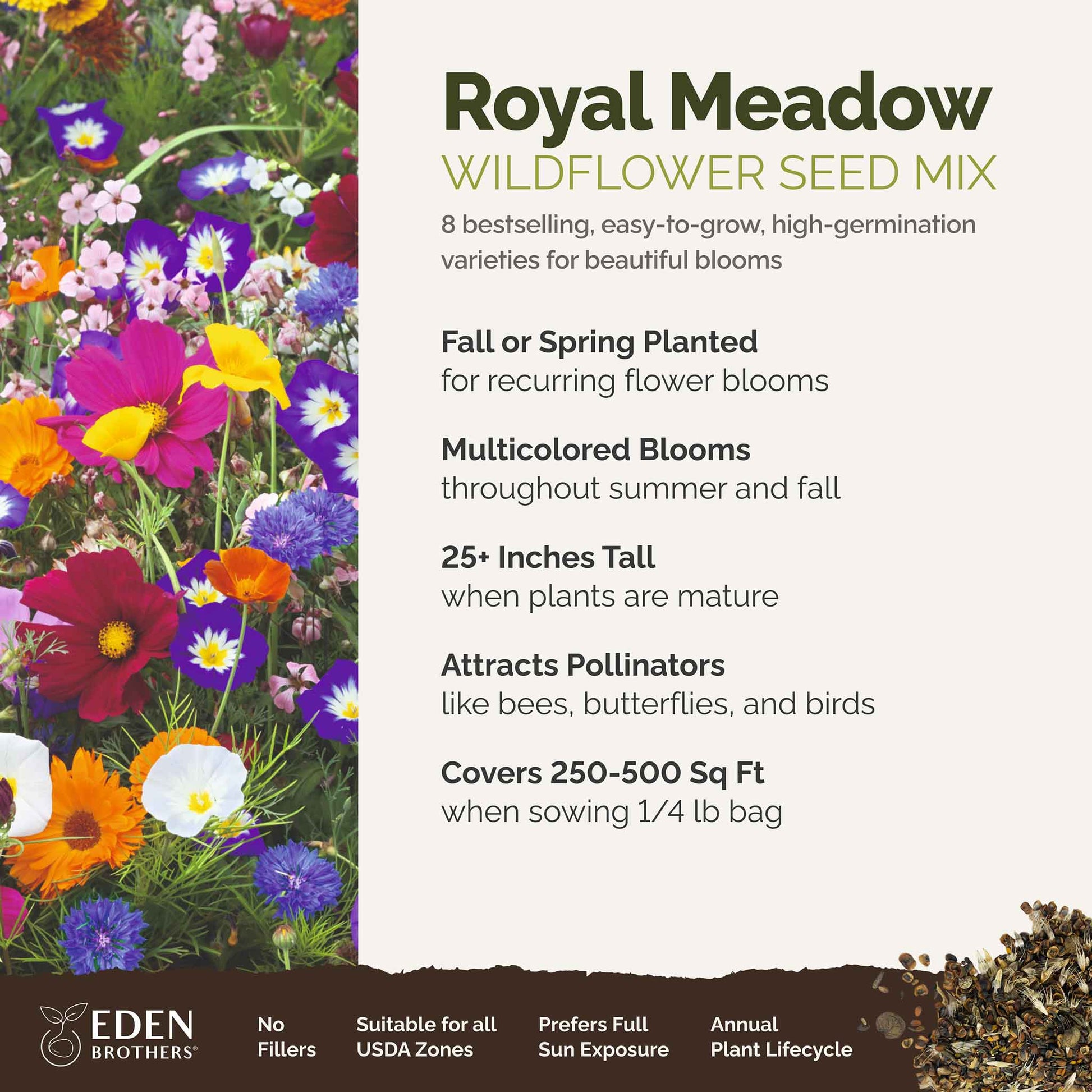 A visual overview of the wildflower seed mix, showcasing expected floral blooms.