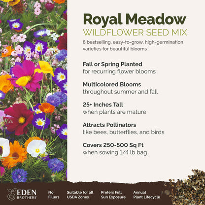 A visual overview of the wildflower seed mix, showcasing expected floral blooms.