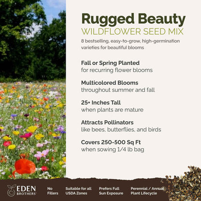 A visual overview of the wildflower seed mix, showcasing expected floral blooms.