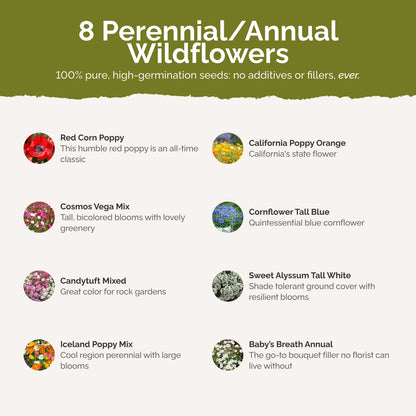 List of flower species and seeds included in the Wildflower Seed Mix.