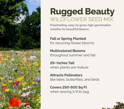 A visual overview of the wildflower seed mix, showcasing expected floral blooms.