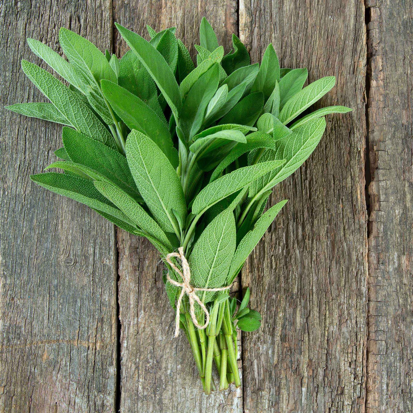 A bundle of fresh sage leaves tied together, placed on a wooden surface.