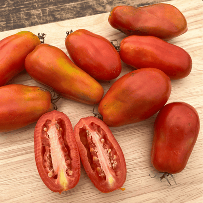 San Marzano Tomato Seedlings