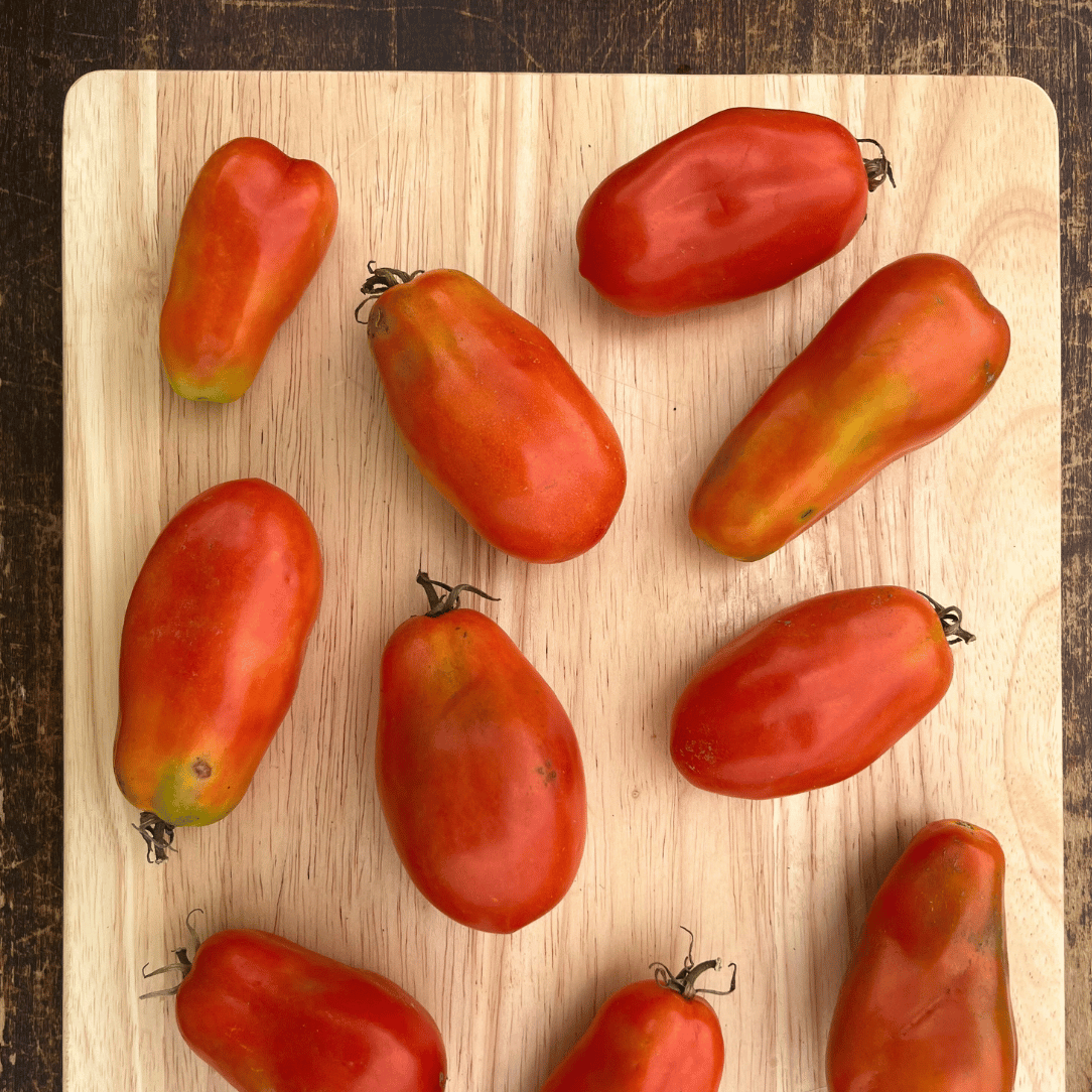 San Marzano Tomato Seedlings