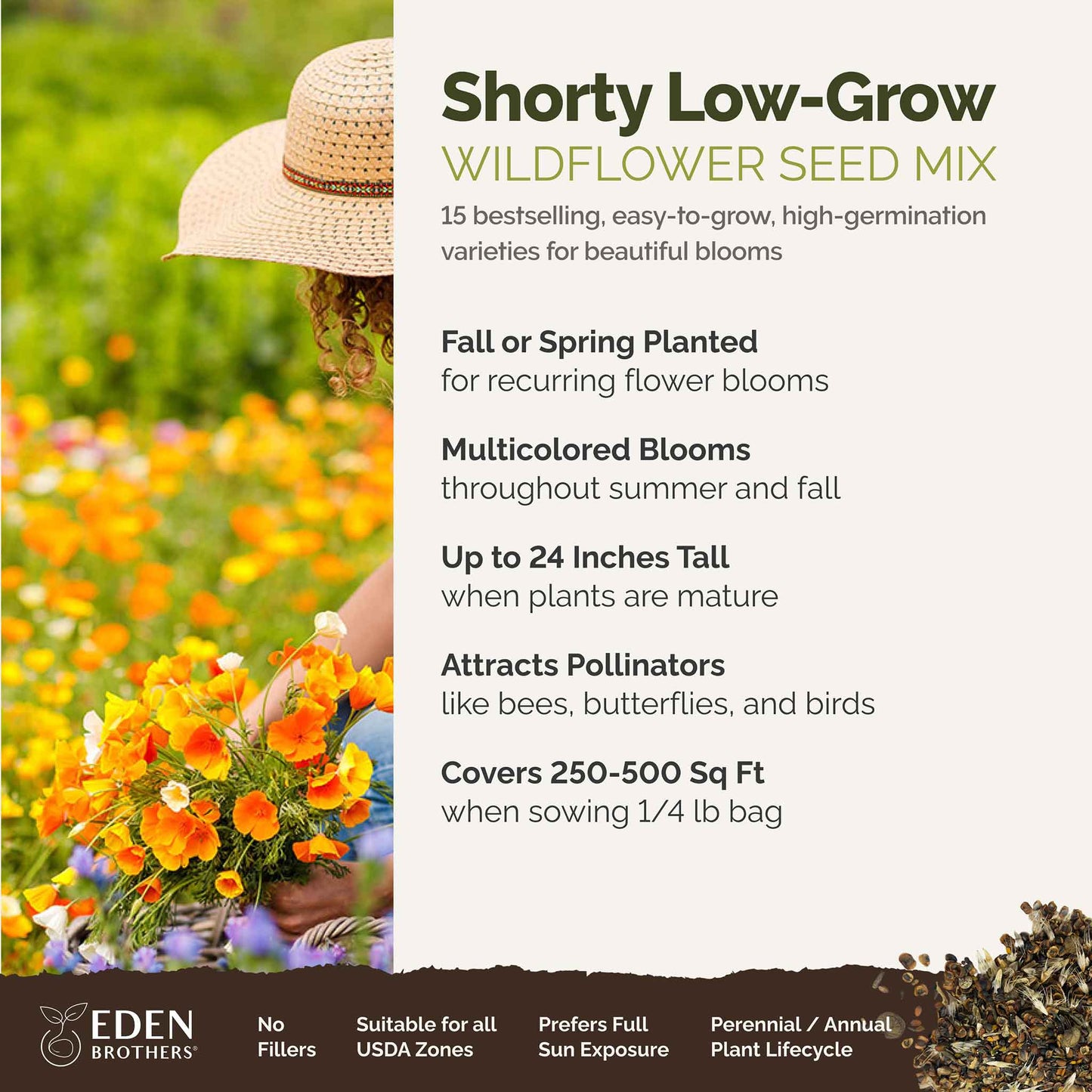 A visual overview of the wildflower seed mix, showcasing expected floral blooms.