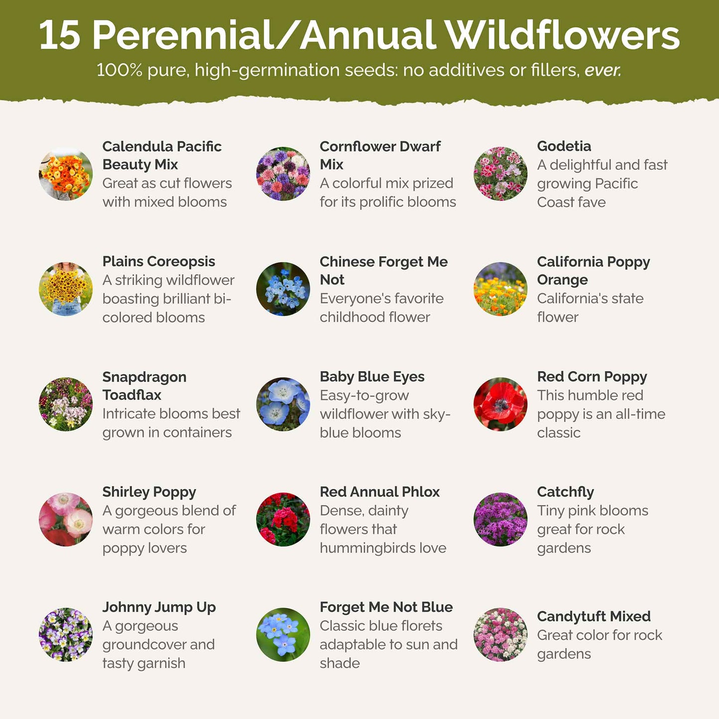 List of flower species and seeds included in the Wildflower Seed Mix.