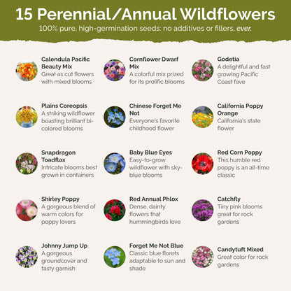 List of flower species and seeds included in the Wildflower Seed Mix.
