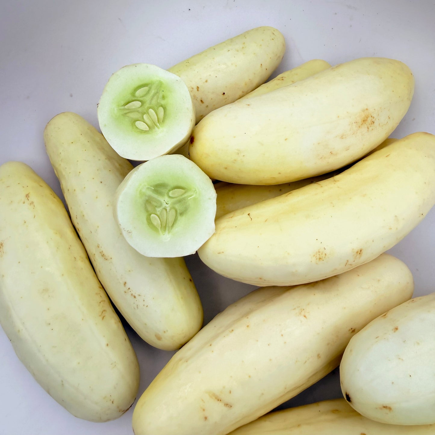 Silver Slicer Cucumber