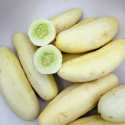 Silver Slicer Cucumber