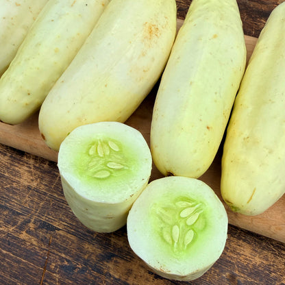 Silver Slicer Cucumber