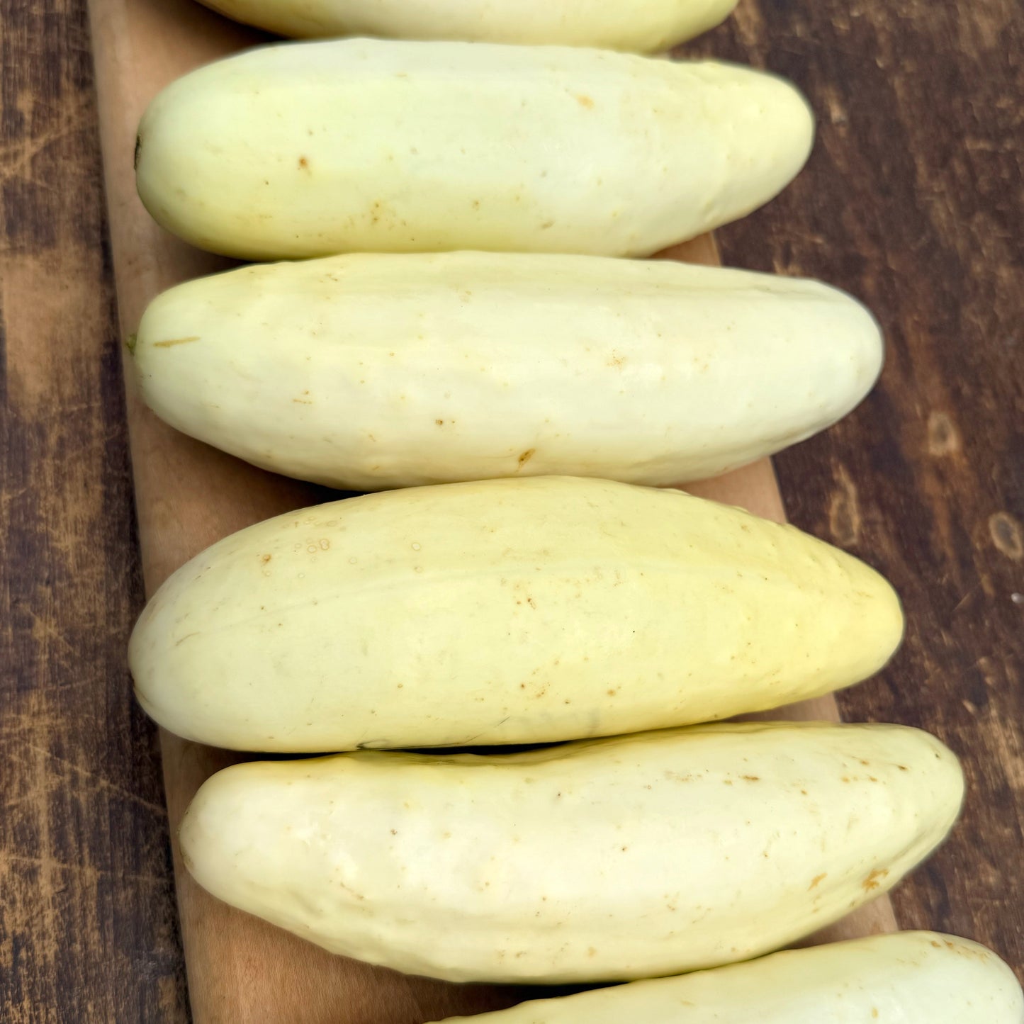 Silver Slicer Cucumber