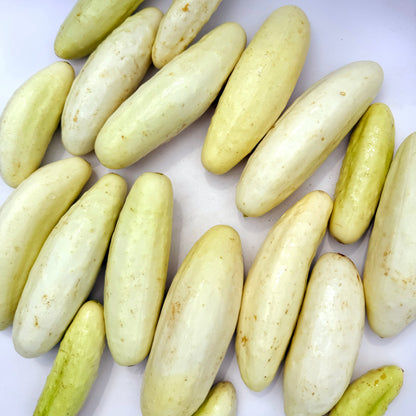 Silver Slicer Cucumber