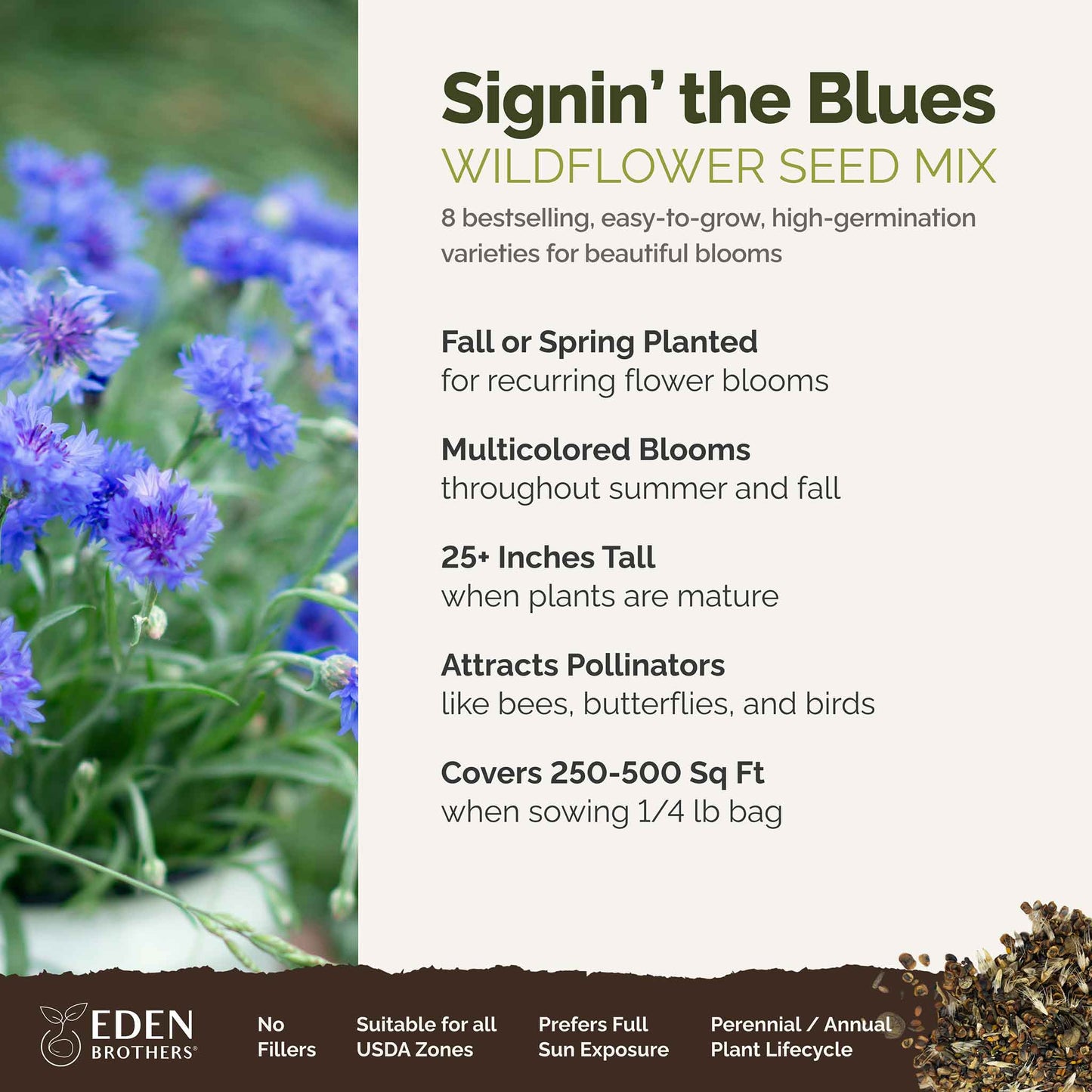 A visual overview of the wildflower seed mix, showcasing expected floral blooms.