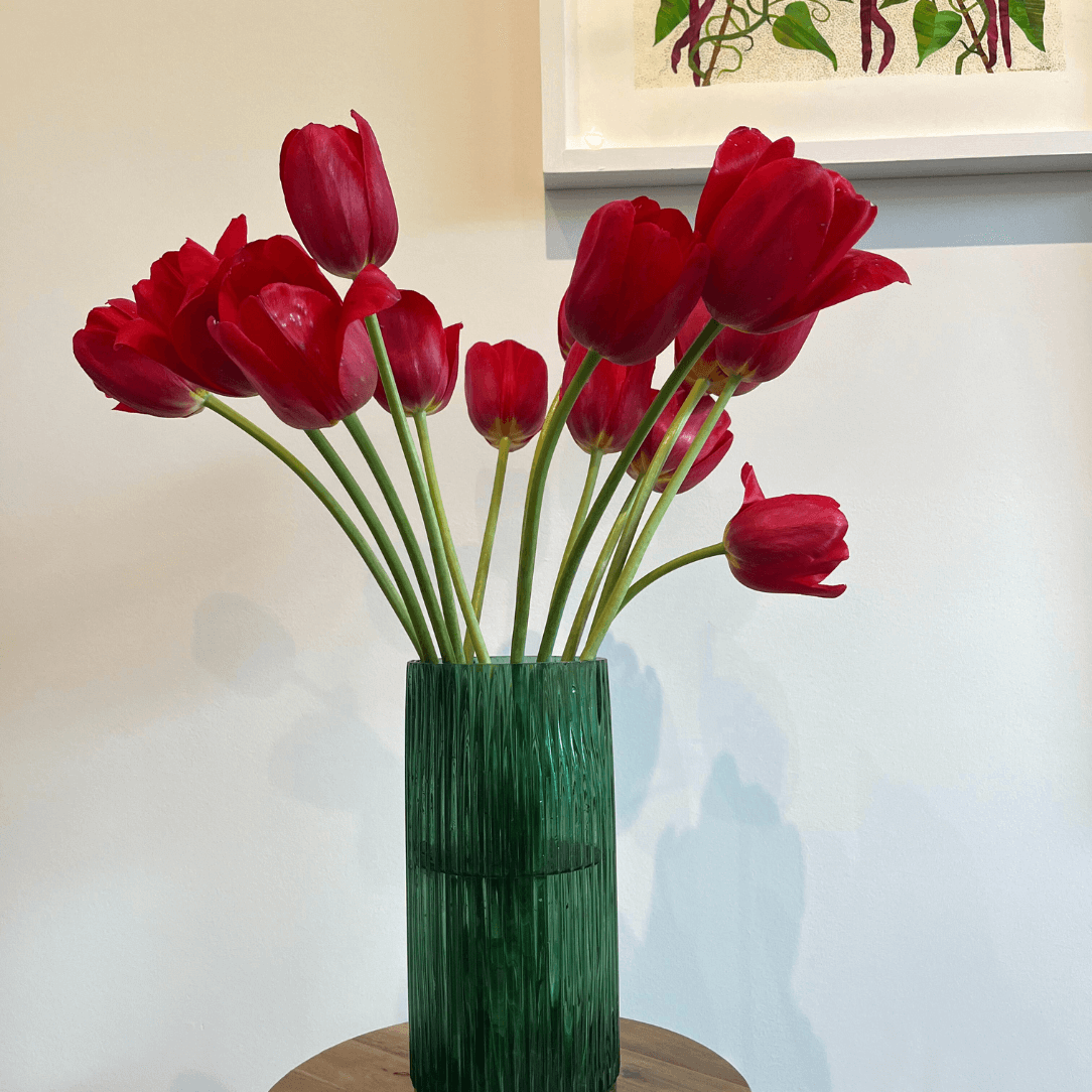 Tulip 'Sky High Scarlet'