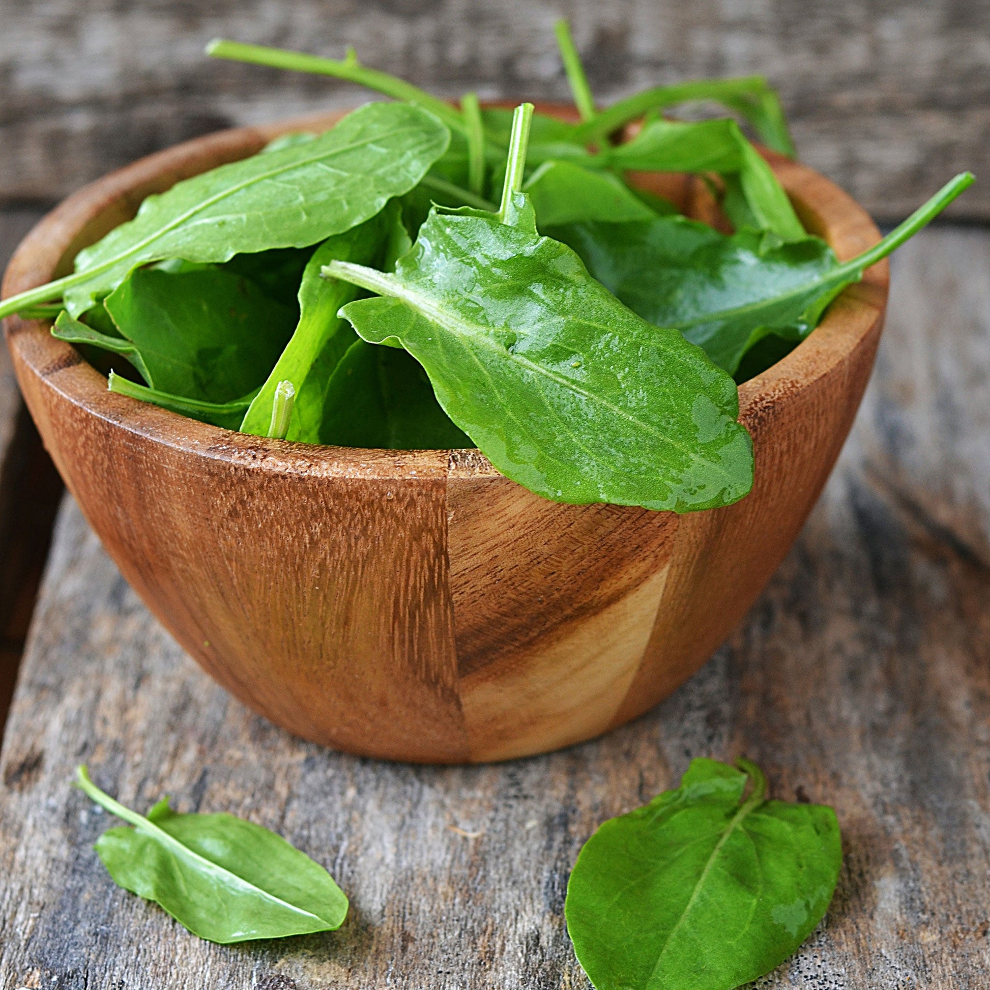 Newly harvestly sorrel leaves in a wooden bowl with a neutral background