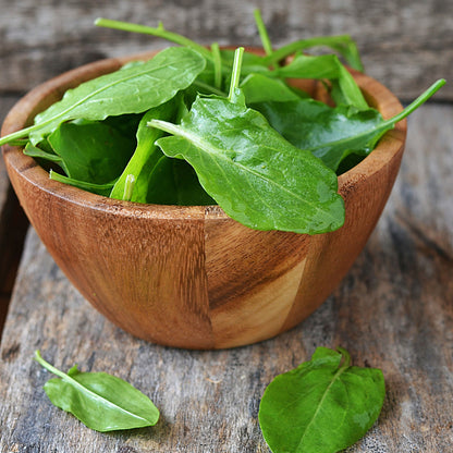 Newly harvestly sorrel leaves in a wooden bowl with a neutral background